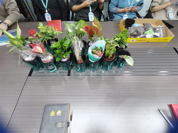 香港宝典免费资料网